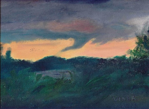 Birds Fleeing a Funnel Storm