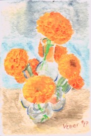 watercolor on paper, framed and matted 11.25 in high 14.65 in wide  2003, Patricia C Vener